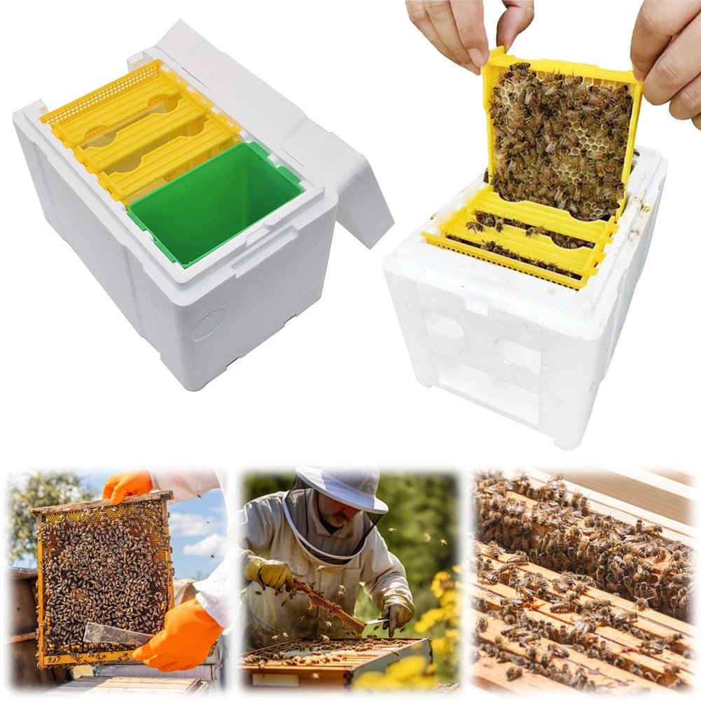 1 Set Queen Bee Mating Box Queen Bee Rearing Box Beekeeping Tools