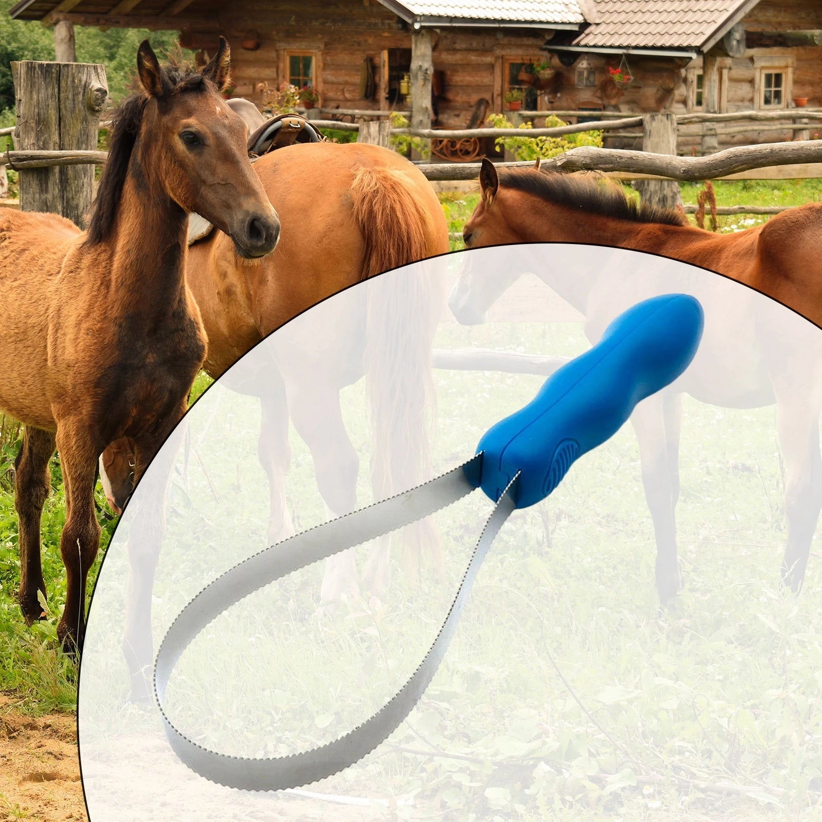 Horse Grooming Comb Equestrian Brush Scraper Nonslip Curry Comb for…
