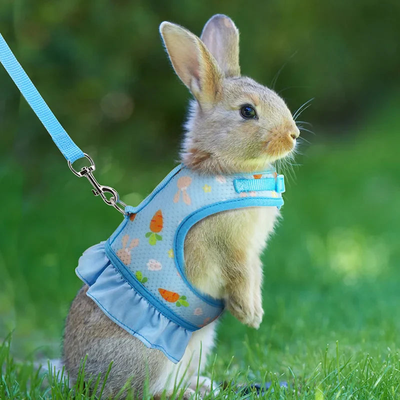 Rabbit Harness & Leash Set – Breathable Adjustable Vest