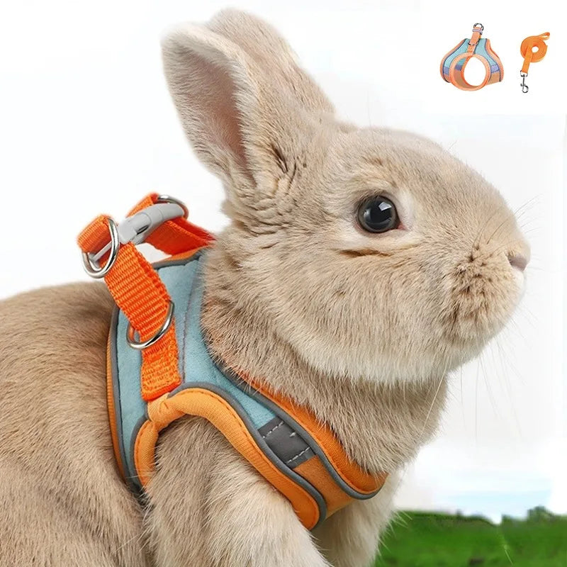 Rabbit Walks Adjustable Bunny Harness and Leash Set Double Buckle…