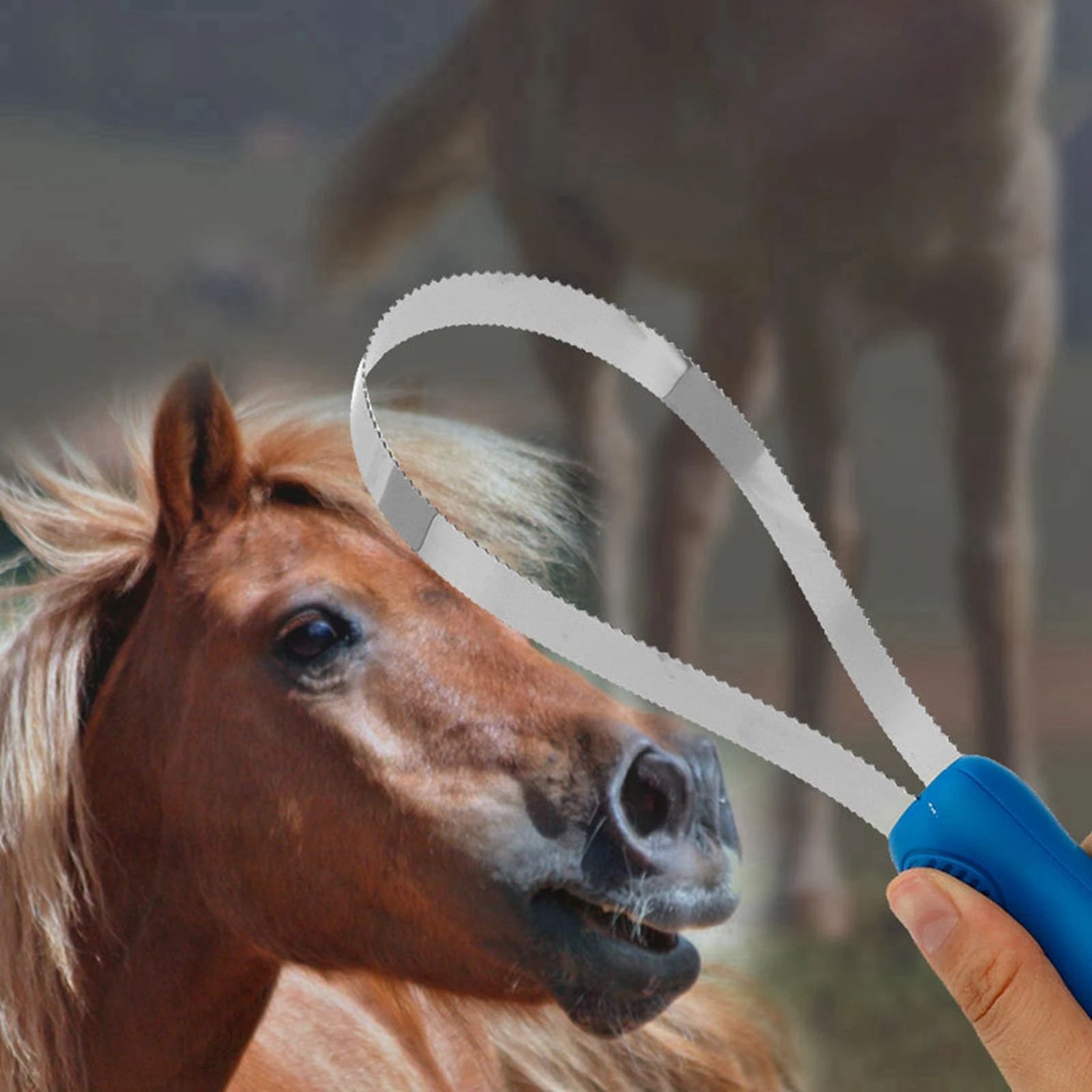 Horse Grooming Comb Equestrian Brush Scraper Nonslip Curry Comb For…