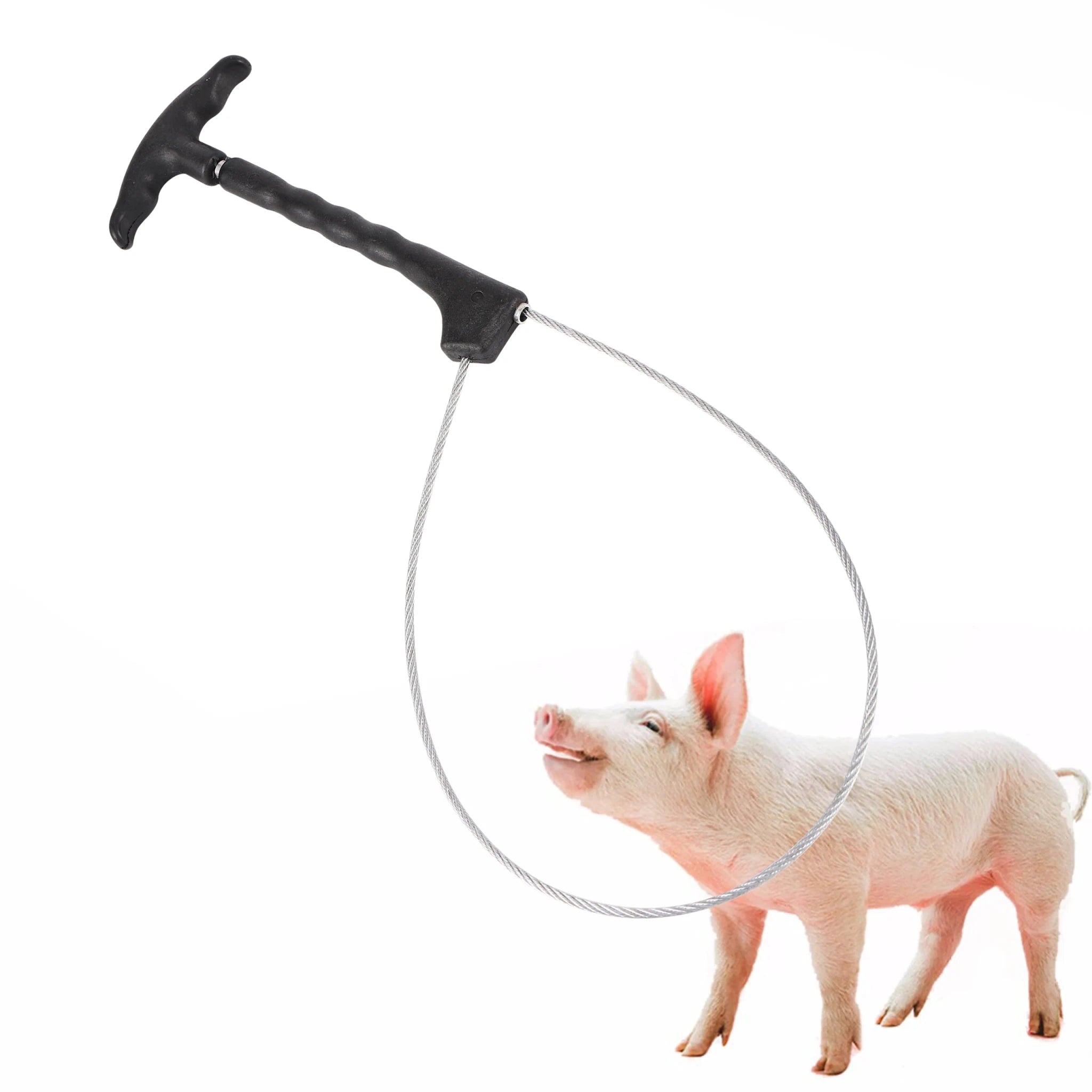 Livestock Pig Baoding Set Pig Fixed Rope Veterinary Equipment Sleeve…