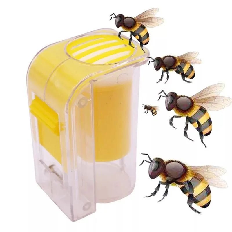 One-handed Queen Bee Catcher Kit, Plastic Queen Bee Marking Tool with…