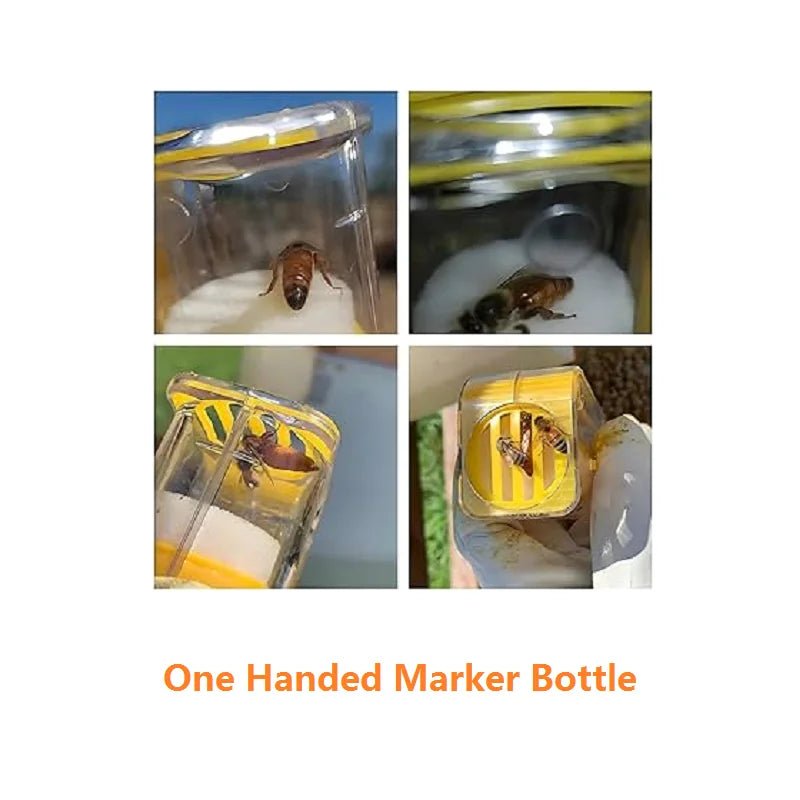 One-Handed Queen Bee Marking Cage with Plunger