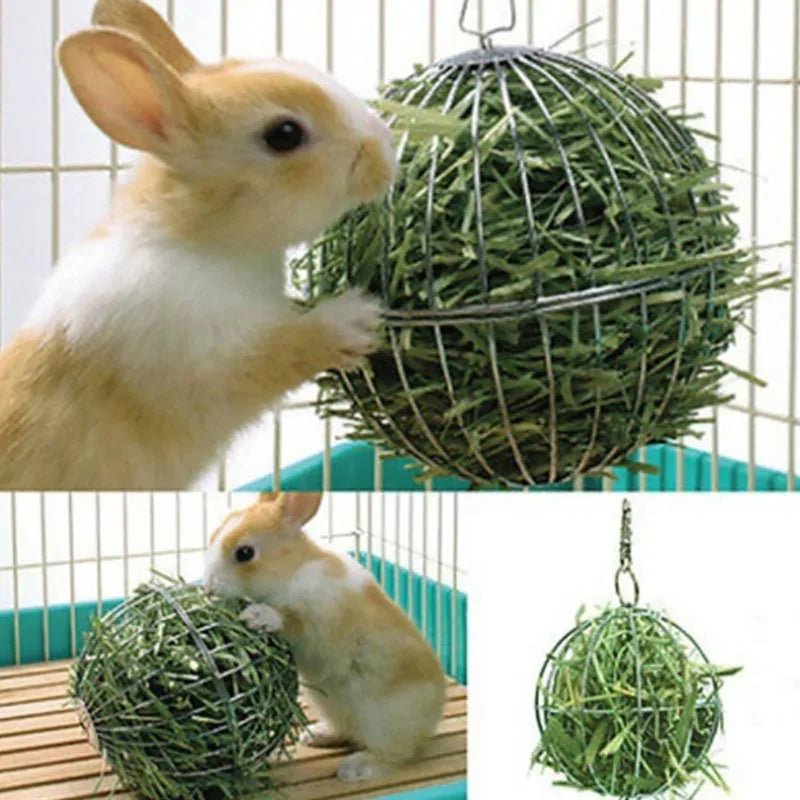 Stainless Steel Hanging Hay Ball for Rabbits & Guinea Pigs