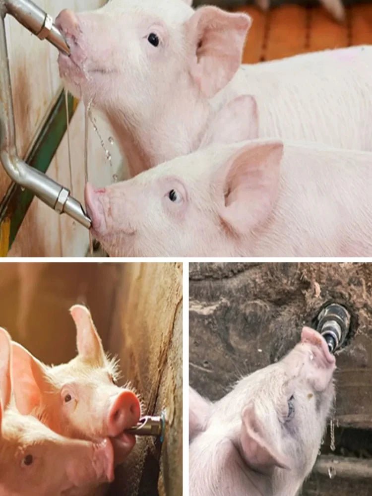 Thicken Stainless Steel Pig Nipple Drinker Water