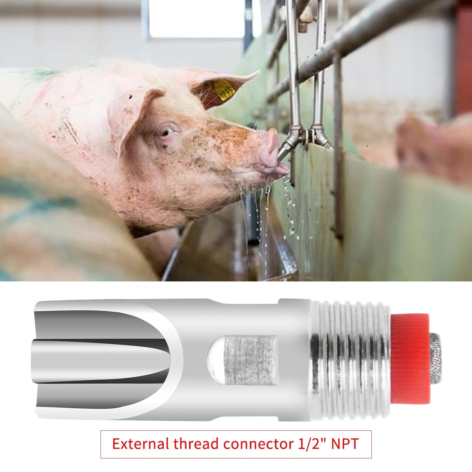 Thicken Stainless Steel Pig Nipple Drinker